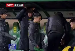 tb体育-战果让球迷振奋,迎来胜利的喜悦英语