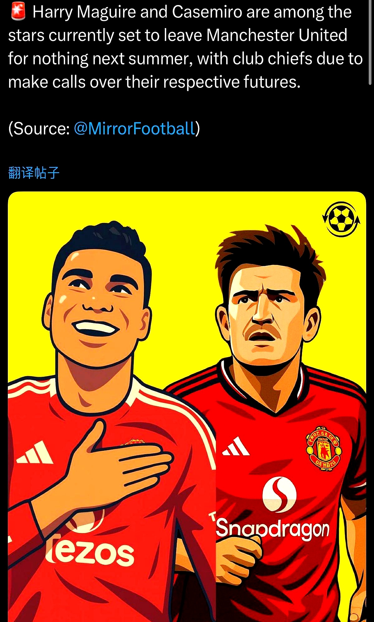 费耶诺德欧冠冠军