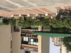 深圳佳兆业阵容2020 深圳佳兆业阵容2020